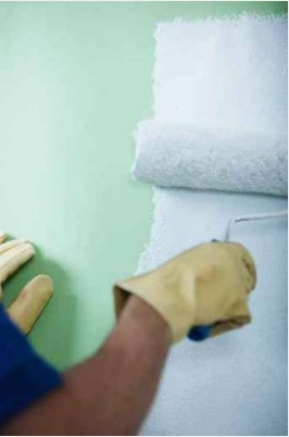 какая эмаль подходит для покраски дома