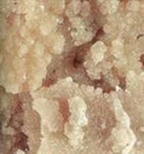 Купить винную кислоту по оптовой доступной цене